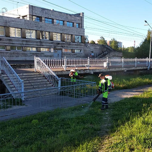 Заказать уничтожение борщевика Никольск-П