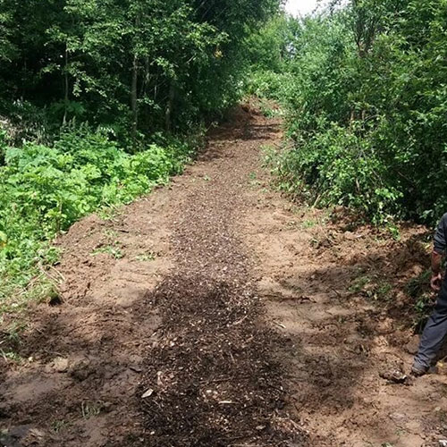 Заказать уничтожение борщевика Белореченск