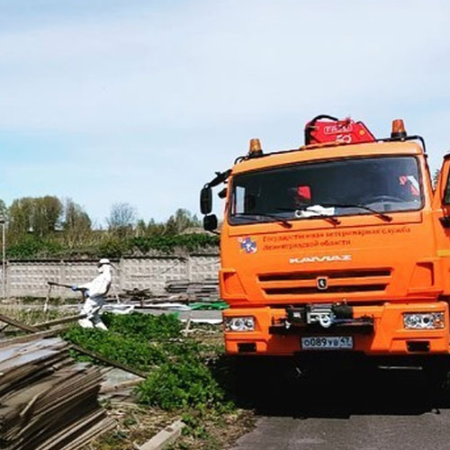 Заказать уничтожение борщевика Городище